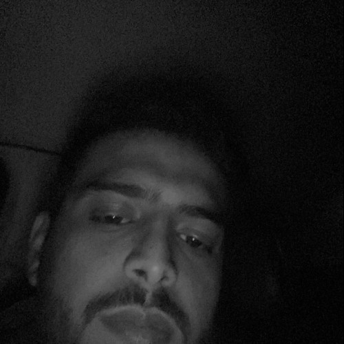 Asher A. profile photo