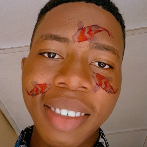 Habeeb L. profile photo