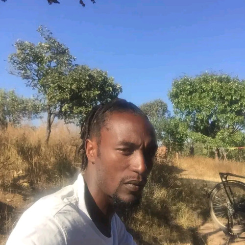 Robert M. profile photo