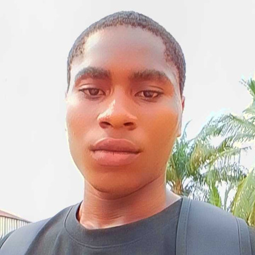 Ezike E.
