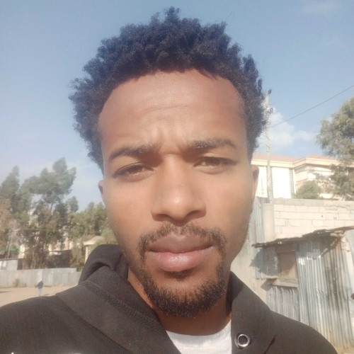 negus n. profile photo