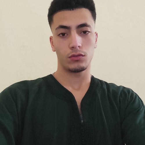 Mehdi D.
