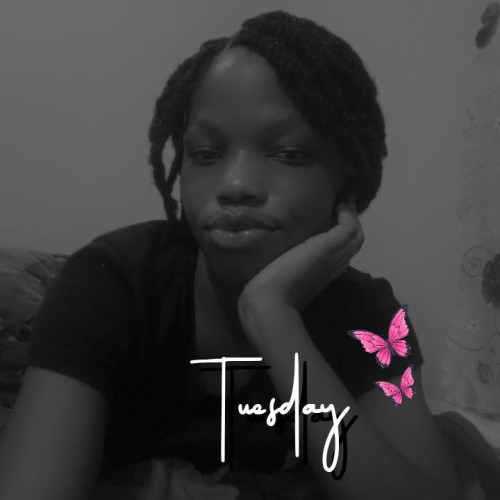 Lily S. profile photo