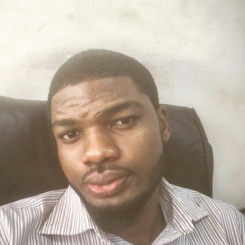 ikponmwosa o. profile photo