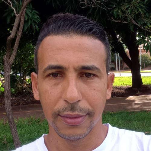 TON N. profile photo