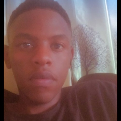 Stephen N. profile photo