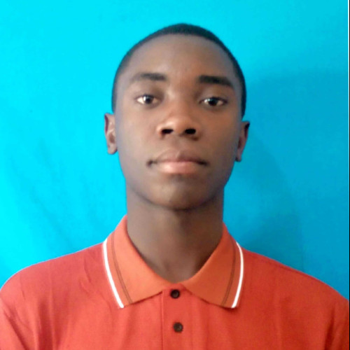 Andrea F. profile photo