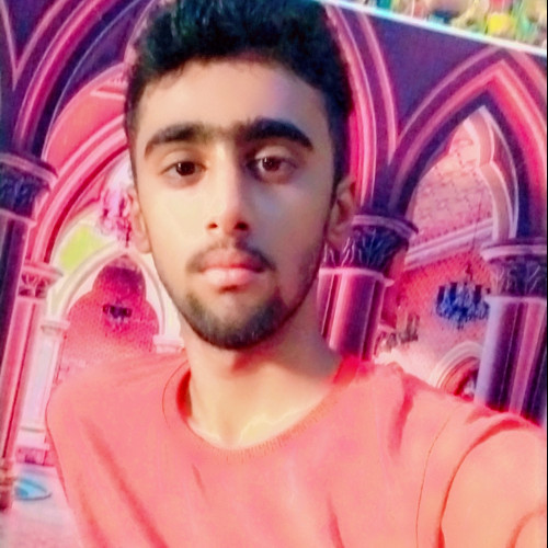 Aliyan A. profile photo