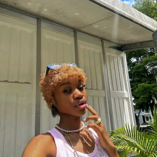 Amira s.