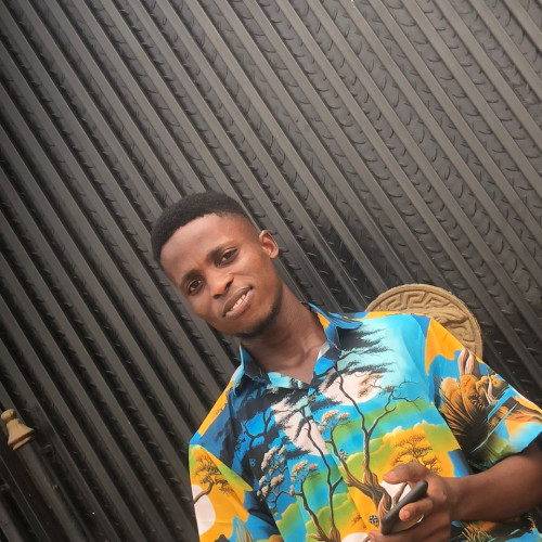 Ndubuisi  F. profile photo