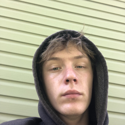 Noah D. profile photo