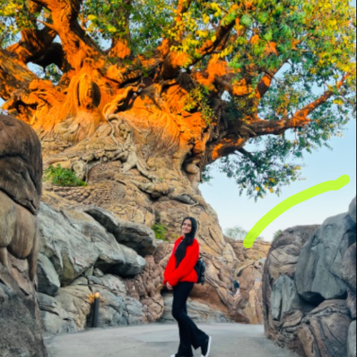 Maria Luiza C. profile photo