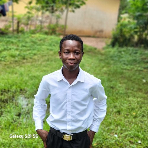 Adegborioye T.