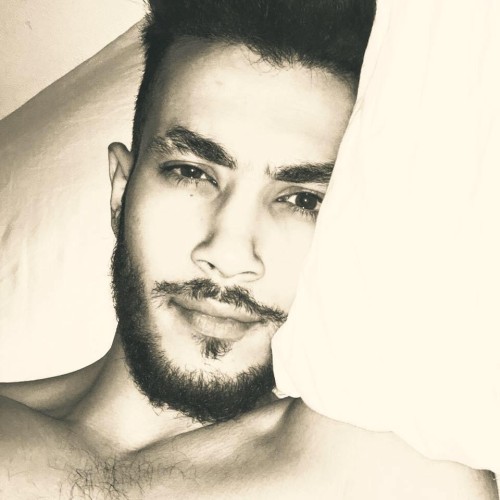 Moayad d.