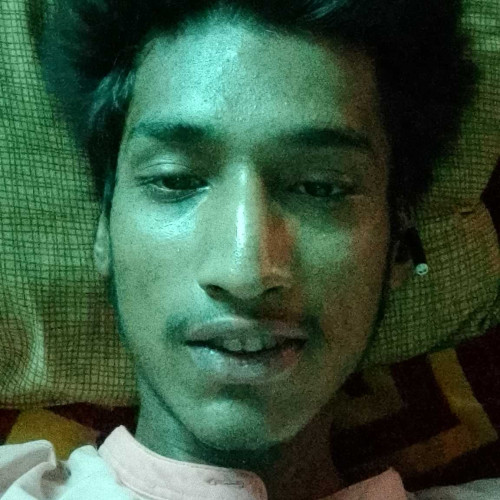 manav s. profile photo