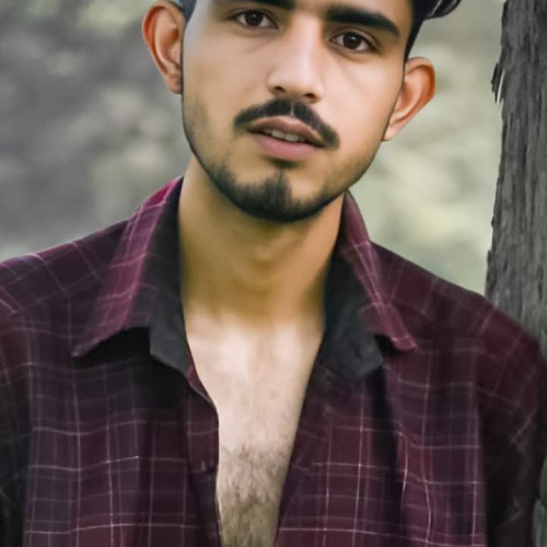 Panku B. profile photo