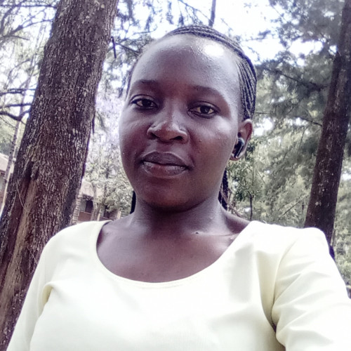 SCOLA E. profile photo