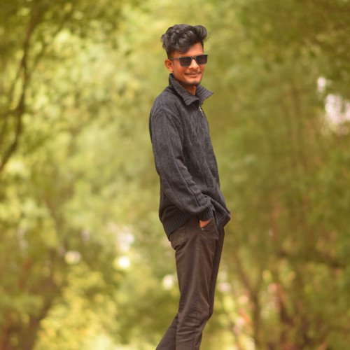 vardan p.
