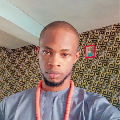 Francis n. profile photo