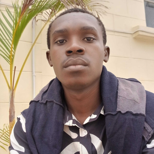 Shabani N. profile photo