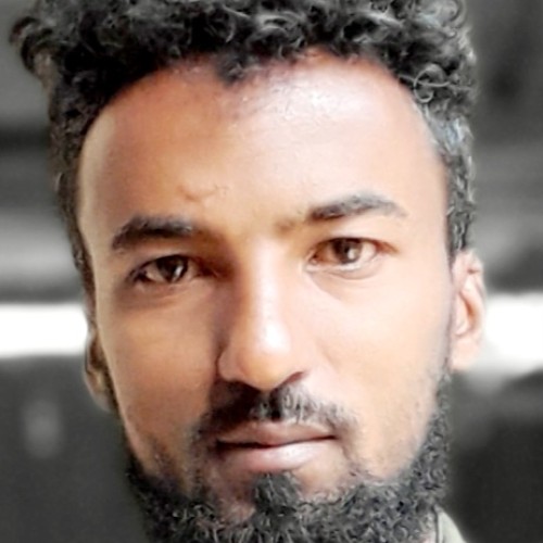 Temesgen M.