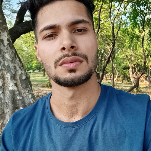 Raj L.