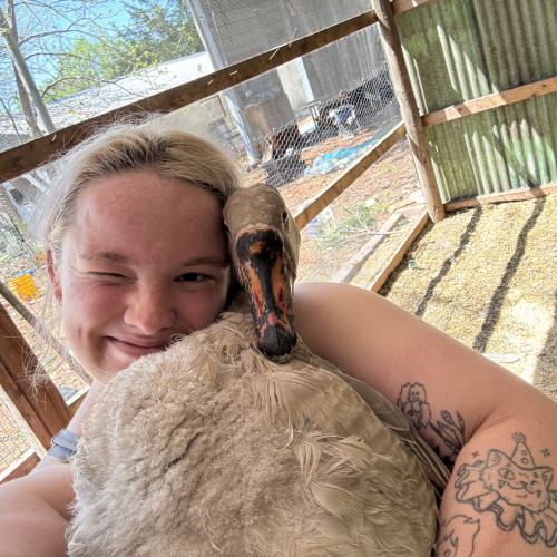 Kelsey D. profile photo