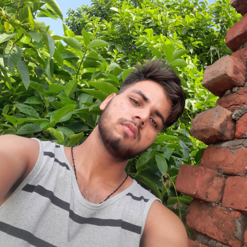 Hariom  P. profile photo