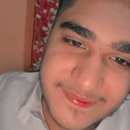 Tayyab A.