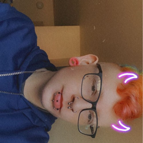 Sebastian S. profile photo