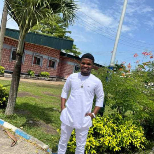 chukwuemeka p. profile photo