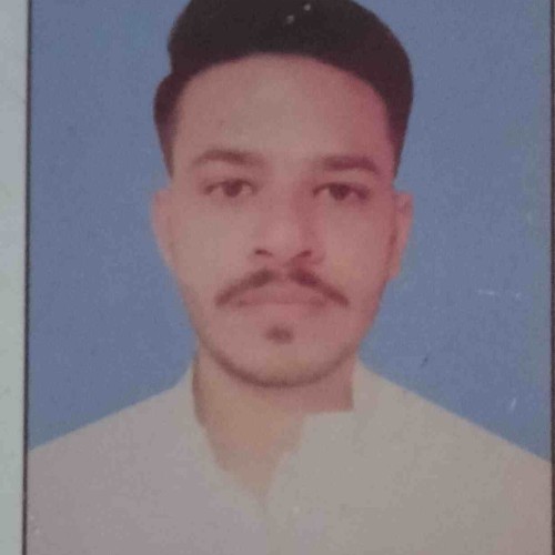 Muhammad Adeel N.