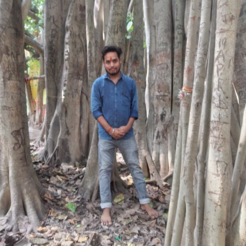 Ankit K. profile photo