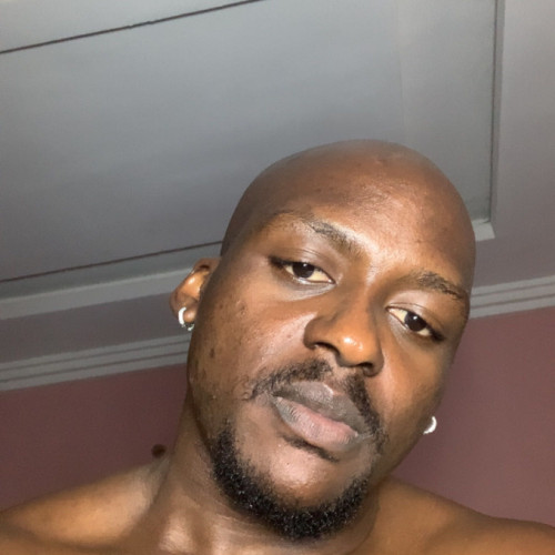 Vanen I. profile photo