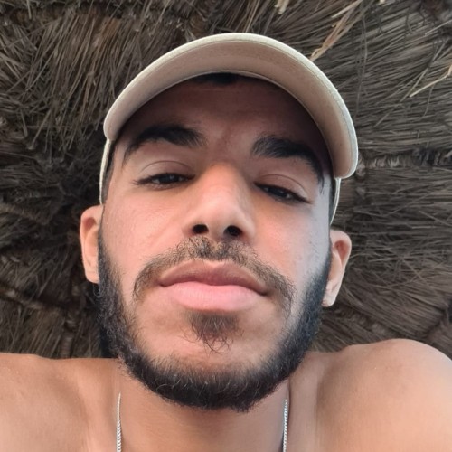 Nasreddine  B. profile photo