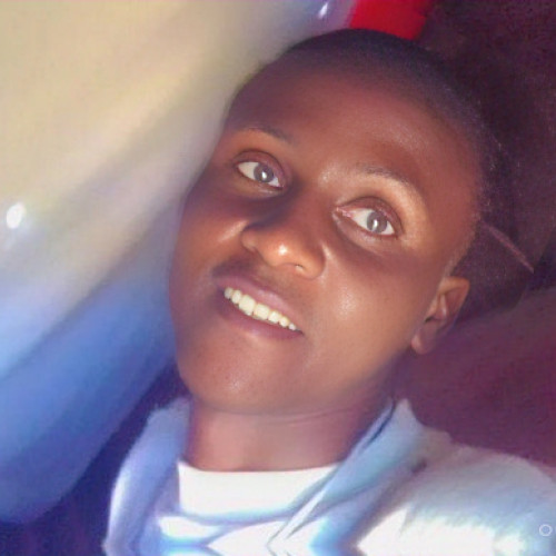 Kingstone C. profile photo