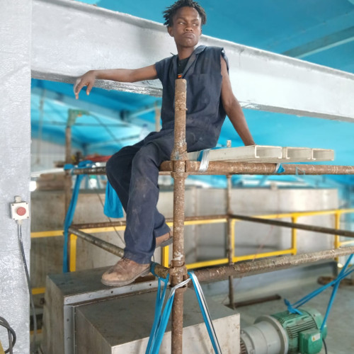 Dennis M. profile photo