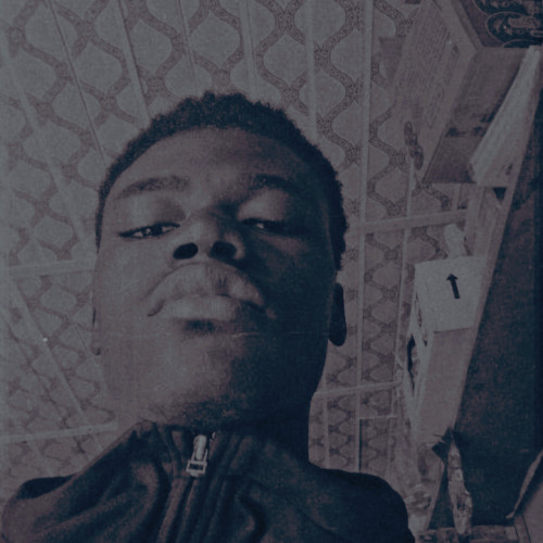 Chris I. profile photo