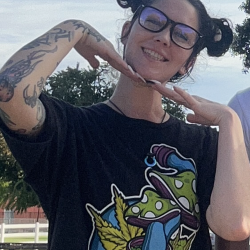 Niko M. profile photo