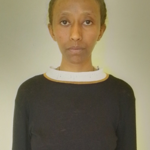 Arsema H. profile photo