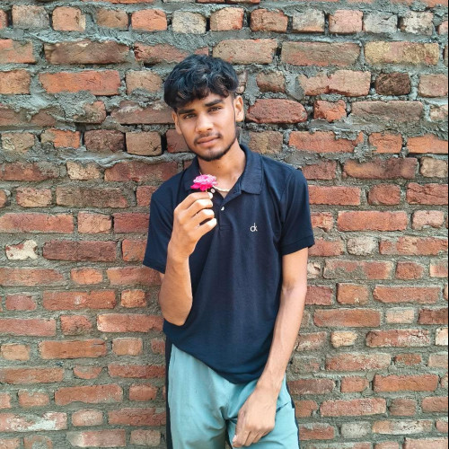 Pushpendra Y. profile photo