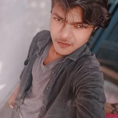 Naveen D. profile photo