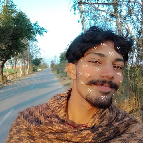 Rohit M. profile photo