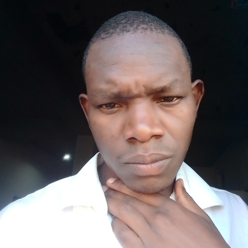Kenato L. profile photo