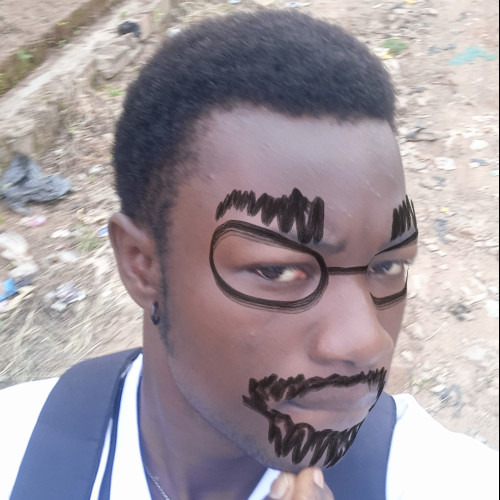 Adebayo O. profile photo