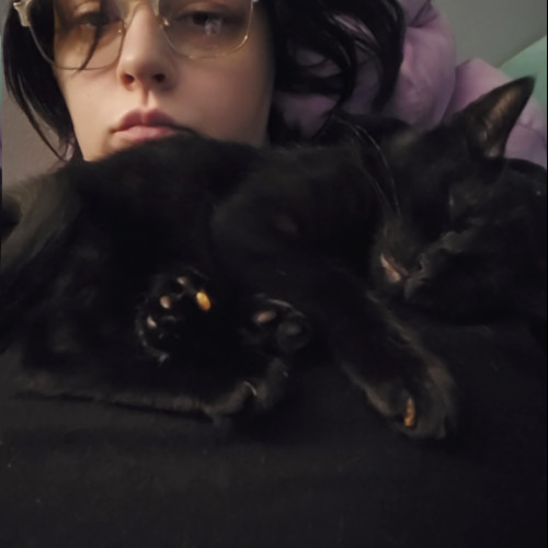 Chelsie D. profile photo