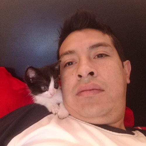 Jorge O. profile photo