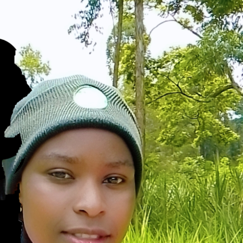 sheby b. profile photo