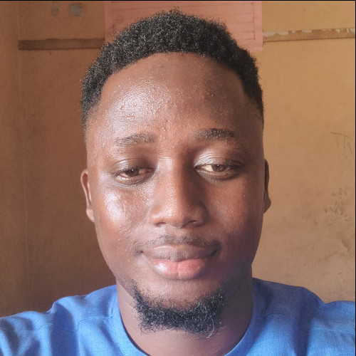 Lanrewaju D. profile photo