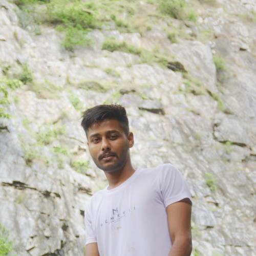 Harshit A.